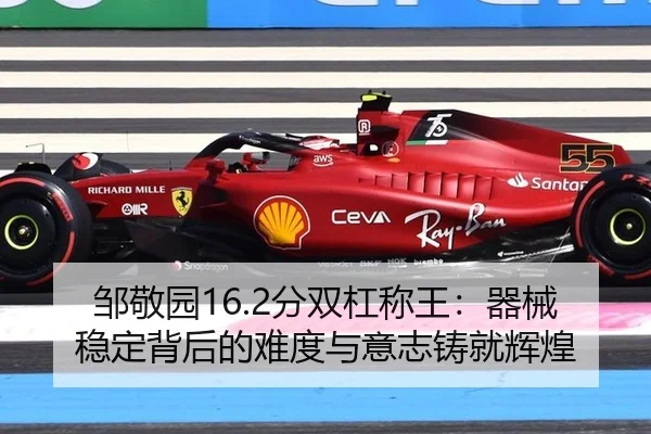 邹敬园16.2分双杠称王：器械稳定背后的难度与意志铸就辉煌